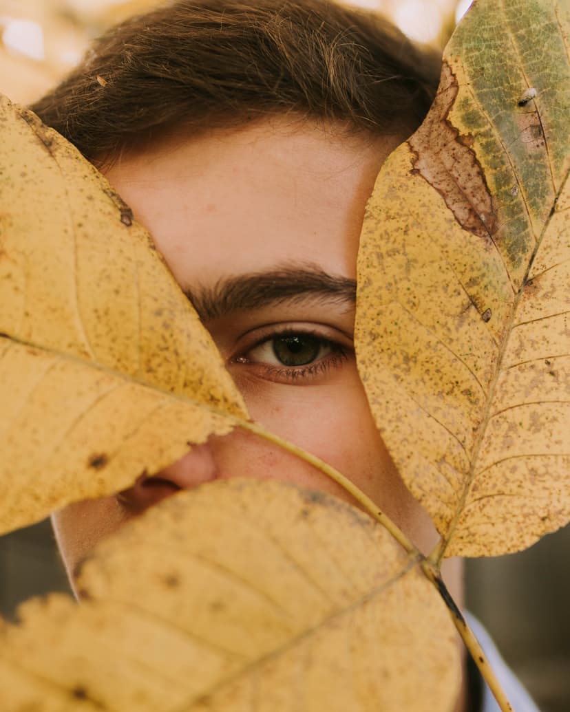 Hidden face